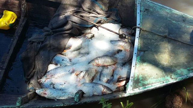 Secuestraron más de 3000 pescados en distintos parajes de Arroyo Leyes