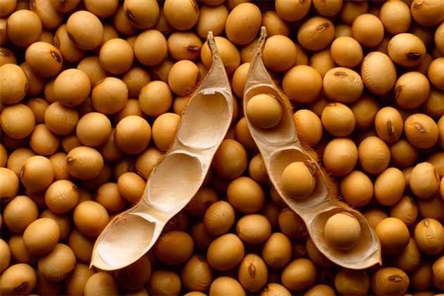 “El 70 por ciento de la soja ya no está en manos del productor”