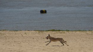 El tiempo en Rosario: miércoles algo nublado con una máxima de 30º