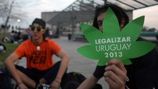 A un dólar el gramo, se puede comprar marihuana en las farmacias de Uruguay