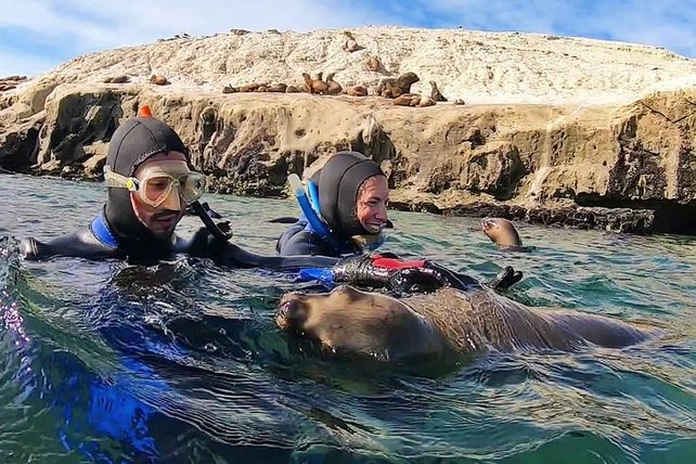 Puerto Madryn, una ciudad vital