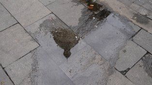 El tiempo en Rosario: un viernes con posibles lluvias en la mañana y la tarde