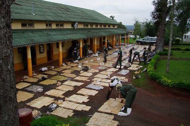 Operativo Escudo Norte: decomisaron cuatro toneladas de marihuana en Misiones