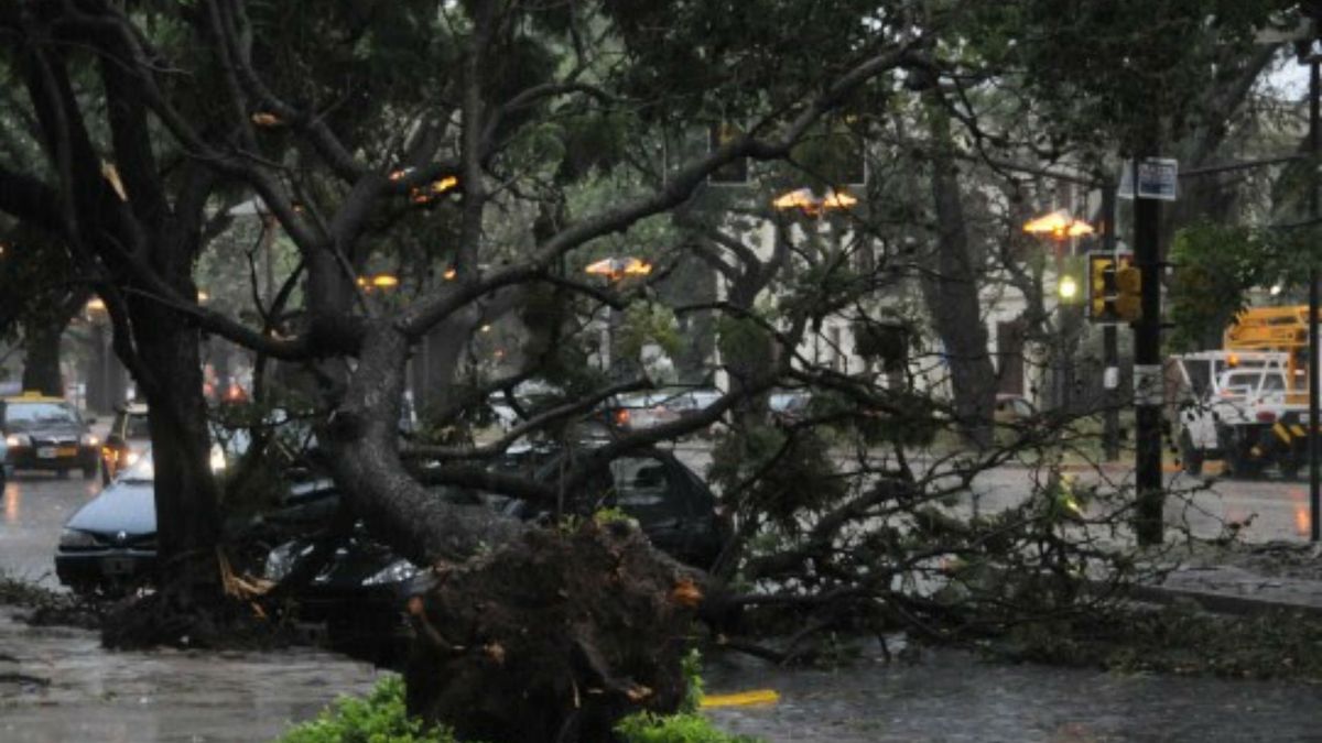 Destrozos y voladuras de techos por el temporal de viento que azota a ...