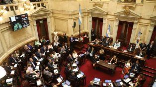 Senado: la UCR pidió a Victoria Villarruel que prorrogue el congelamiento de las dietas