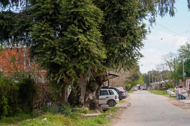 Debajo del árbol dejaron el cuerpo del adolescente baleado