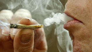 Fumar marihuana reduce el tamaño del cerebro pero lo hace trabajar más rápido
