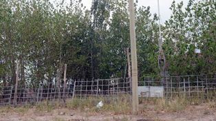 Un hombre tuvo 5 meses cautiva a su ex mujer