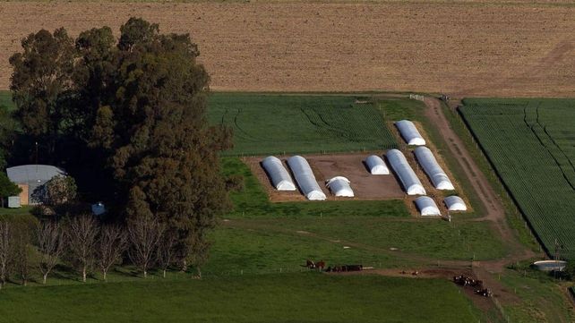 Una nueva generación de start up en el agro se enfoca en potenciar &nbsp;las ventajas del silobolsa a través de la digitalización. Finanzas