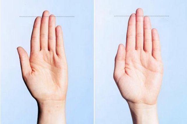 Cómo adelgazar si tienes el dedo índice mas corto