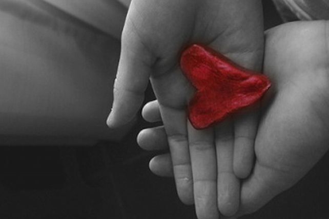 Se celebra hoy el “Día Nacional de la Donación de Órganos”