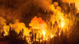 Dos focos de incendios siguen activos en la Patagonia