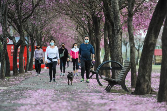 Salir a pasear al perro con tapabocas es una actividad de bajo riesgo