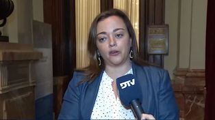 La presidenta de la Cámara de Diputados de la Nación, Cecilia Moreau.