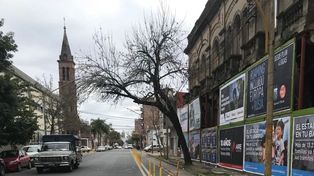 ¿Alcanzará esta vez?: más pretiles para que los autos no invadan la ciclovía de calle Ituzaingó