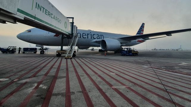 Aseguran que las córneas para trasplante varadas en Estados Unidos fueron preservadas