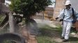 Siguen las tareas de prevención del dengue en Rosario.&nbsp;