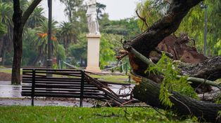 La Municipalidad atiende decenas de reclamos tras la tormenta que se desató entre jueves y viernes.