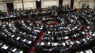 Ley Bases: qué es el RIGI, uno de los puntos más polémicos