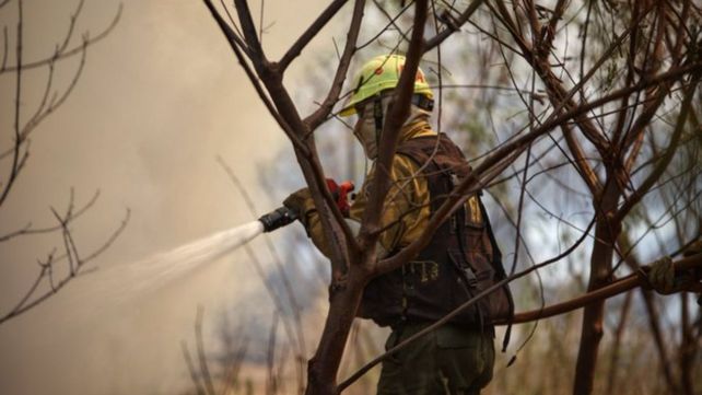Ambiente reporta ocho focos de incendio activos en Corrientes y otros seis  en Misiones