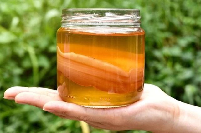 La kombucha es una bebida a base de té fermentado