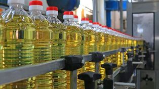 El fideicomiso aceitero regirá hasta el 31 de diciembre de este año.