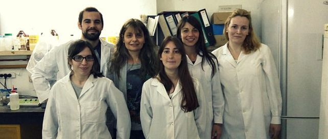 Hay equipo. Los investigadores de la Facultad de Bioquímica estudiaron los efectos sobre mamíferos expuestos al agroquímico.