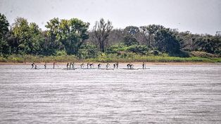 Stand Up Paddle. El Nacional fue un éxito rotundo