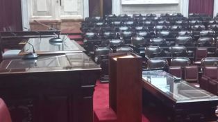 Modifica la práctica tradicional: Javier Milei hablará desde un atril en la Asamblea Legislativa