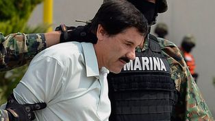 El Chapo Guzmán negó pertenecer a un cártel y dijo dedicarse a la agricultura