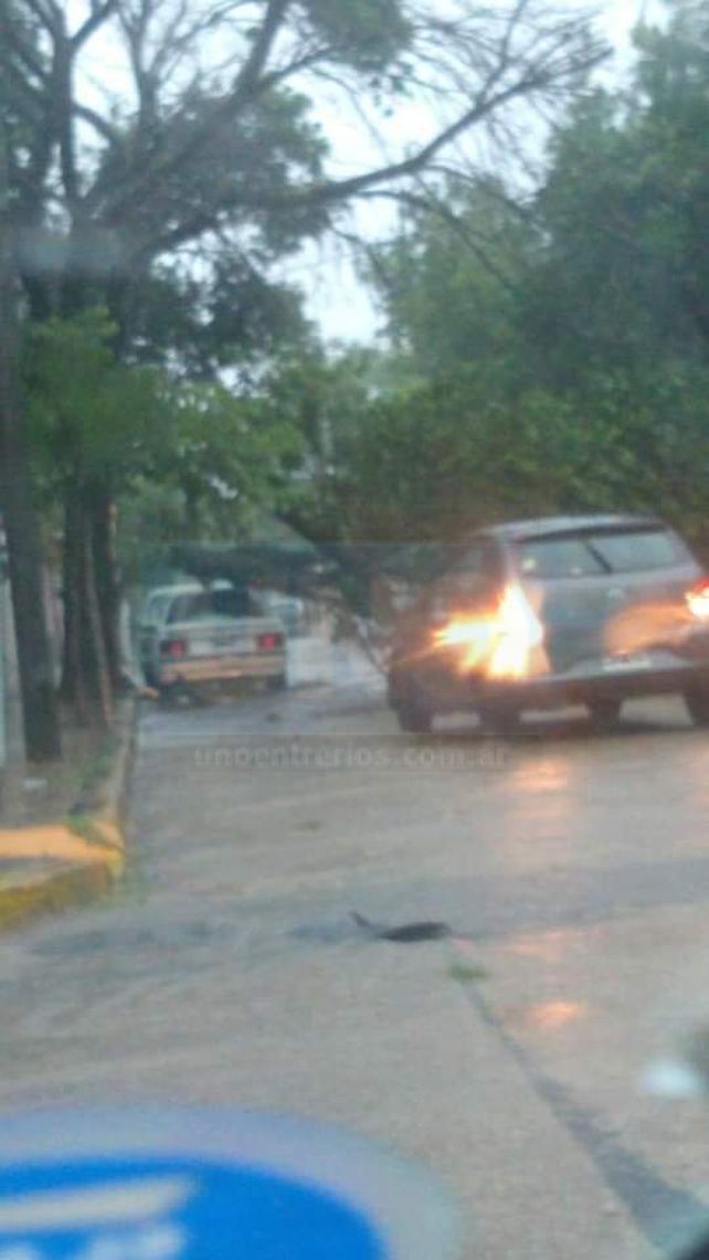 Fuerte tormenta con voladuras de techos, árboles caídos y autos aplastados