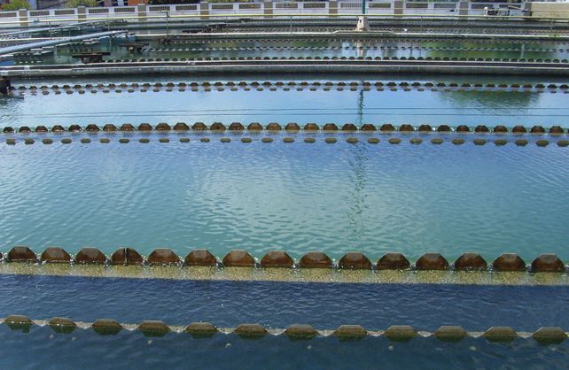 Vecinos de la ciudad reportan un cambio en el agua que consumen.