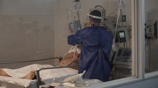 En el país se registraron más de 39 mil nuevos casos y 560 muertes por coronavirus