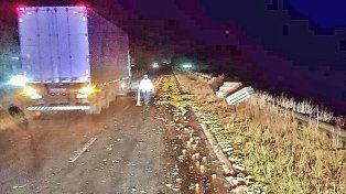 Debieron trabajar para retirar la fruta que se esparció en la traza de la Autovía 14.