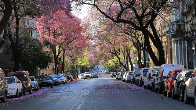 Alameda desde las 18 será para las personas.&nbsp;
