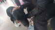 El perro fue trasladado a un hogar de tránsito este lunes a la noche. El perro fue trasladado a un hogar de tránsito este lunes a la noche.