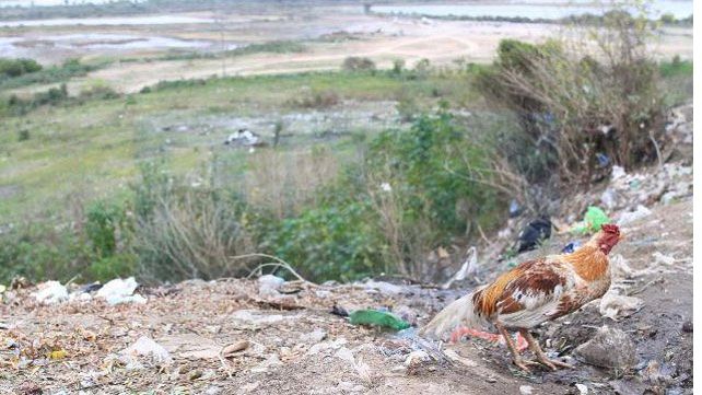 Barrio Antártida Argentina: Al borde de la barranca y cercados por la basura