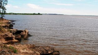 Destacan que sería un pez de gran dimensión que se visualizó en la región de Salto Grande.