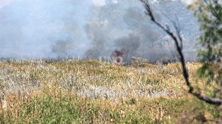 Incendios en islas: Protección Civil en alerta por la sequía y espera el regreso de las lluvias