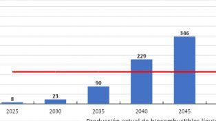 La oportunidad de los biocombustibles sostenibles de aviación