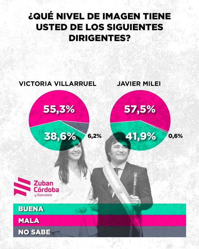 Reveladora encuesta: crece el antimileísmo y se profundiza la polarización política