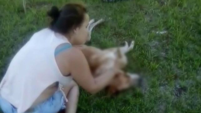 Atacó a un perro con un palo para sacarle los ojos y tendrá que rendir cuentas en la Justicia