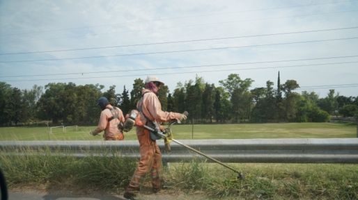 Circunvalación: Nación dice que corta el pasto, pero el municipio volvió a cruzarla