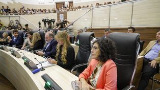 Más divisiones. Quedó partido el peronismo en dos bloques. Surgió el nuevo espacio denominado Justicia Social que integran Norma López y Mariano Romero.