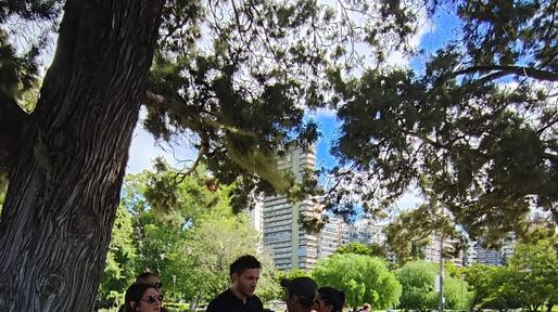 Se promulgó la ley que prohíbe a los cuidacoches en la provincia: qué falta para que rija en Rosario