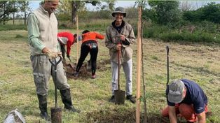 Con la agricultura biodinámica se logra tener un campo que funciona como un organismo vivo.
