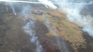 El trabajo conjunto en la zona de islas del Delta del Paran&aacute;