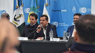 Entre Ríos participó de la última audiencia pública sobre la nueva ley de discapacidad.&nbsp;