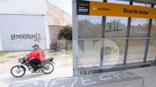 Vandalismo: pintaron grafitis en una de las paradas del Tren Urbano