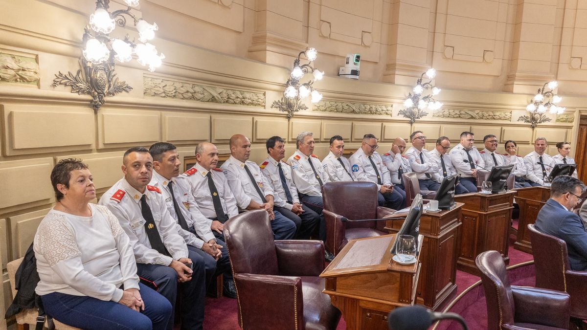 Bomberos voluntarios fueron reconocidos en el Senado por su participación como rescatistas en Venezuela